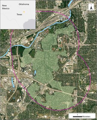 Citizen Science Helps Uncover the Secrets to a Bat-Friendly Swimming Pool in an Urban Environment